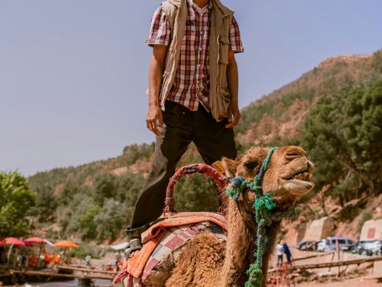Agafay Desert